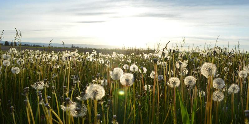 二胎妈妈平衡术：在健康生活与复古时尚中重塑家庭关系