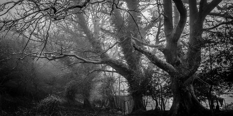 从时尚资讯到力量训练：女性杂志推崇的居家塑形方案，重塑风格穿搭的底层逻辑