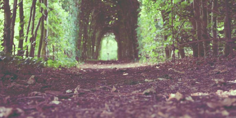 复古时尚与健康生活：女性在科技工程领域的独特突破策略