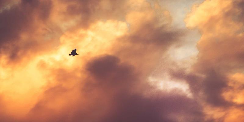 复古风潮再起：解码当代女性生活三大趋势