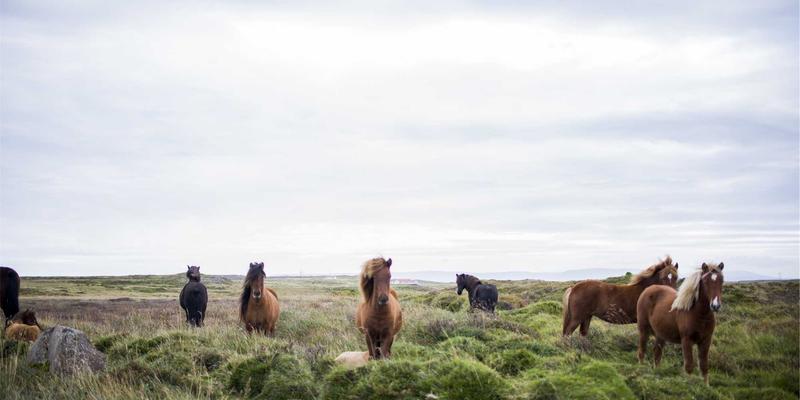 《女性生活27》：一本杂志，三重维度，解锁当代女性的健康、时尚与自我成长