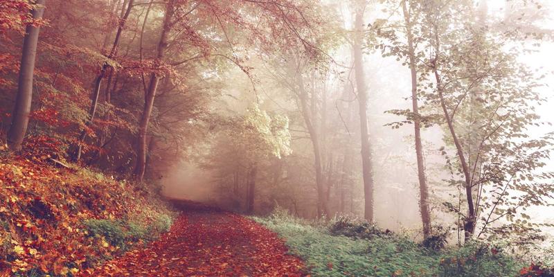 更年期女性如何通过饮食与运动焕发光彩：兼顾美容护肤与复古时尚的智慧方案